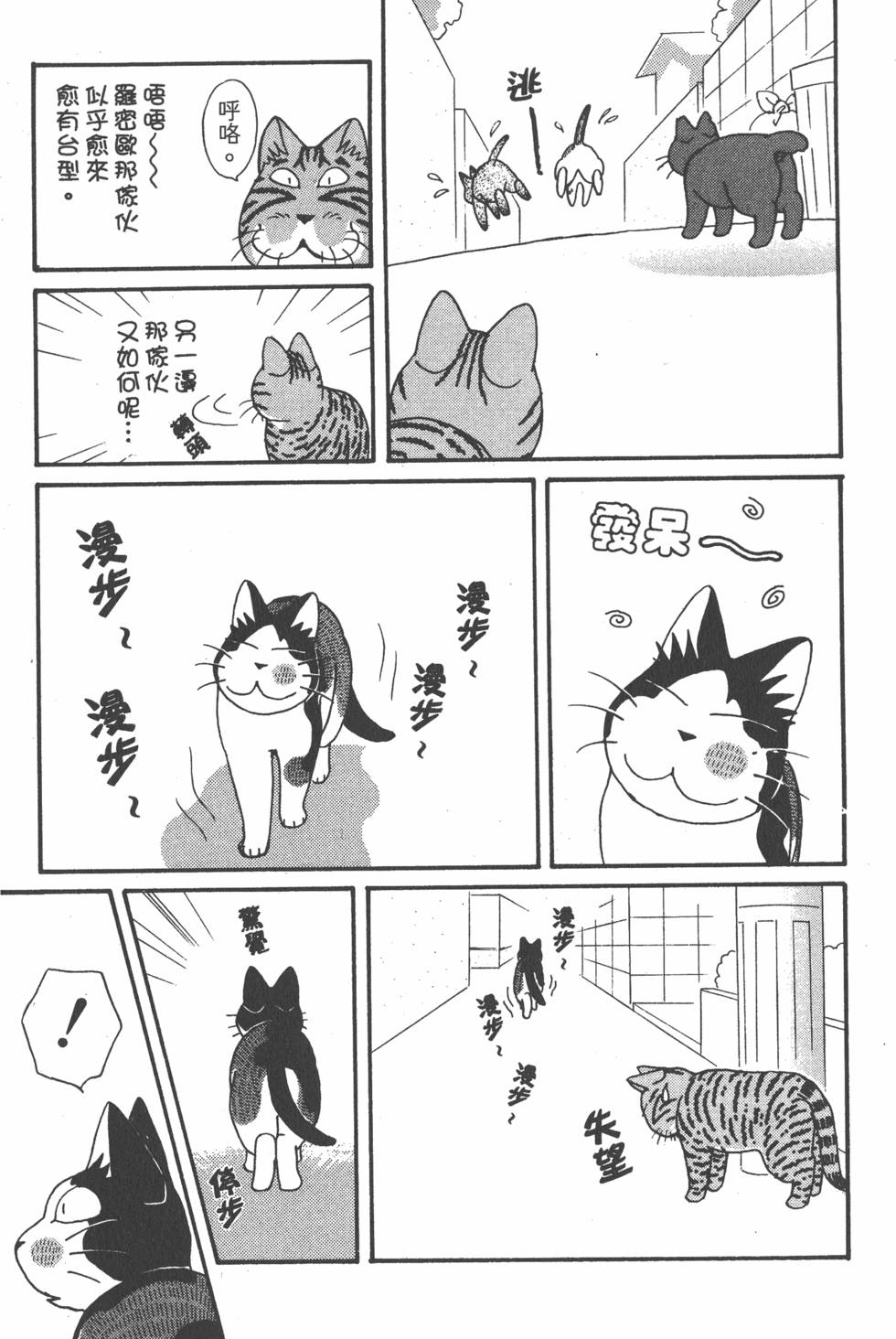 第205页