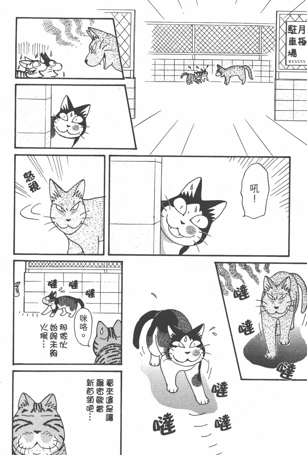 第206页