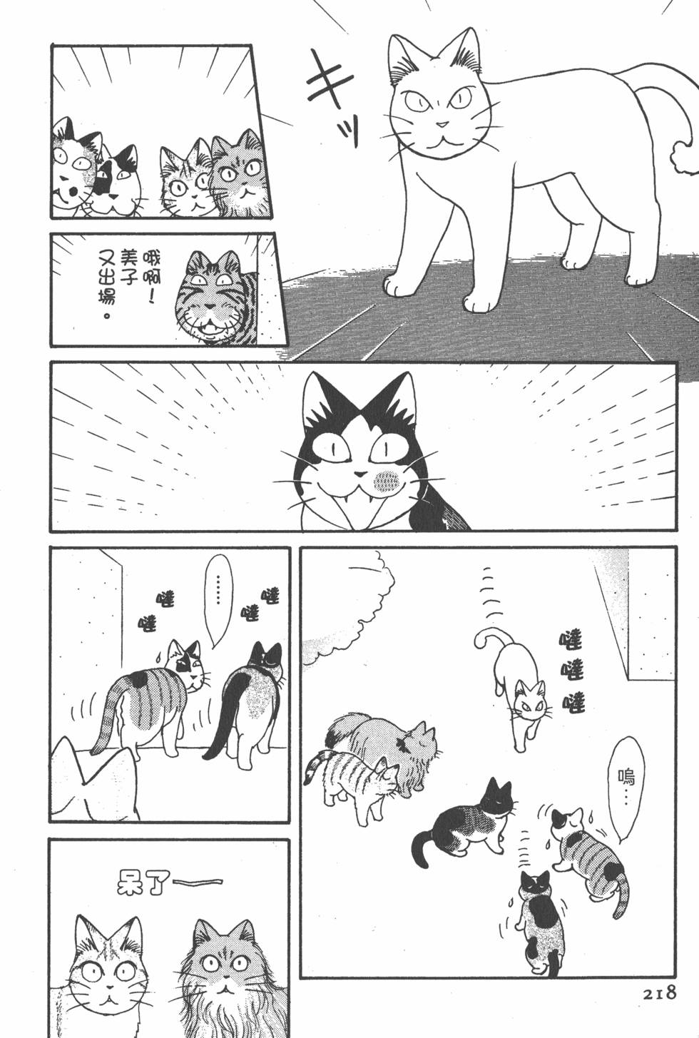 第216页