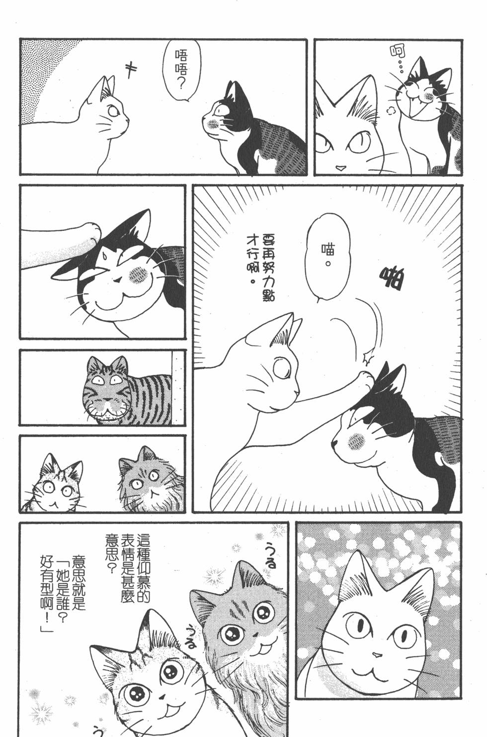 第217页