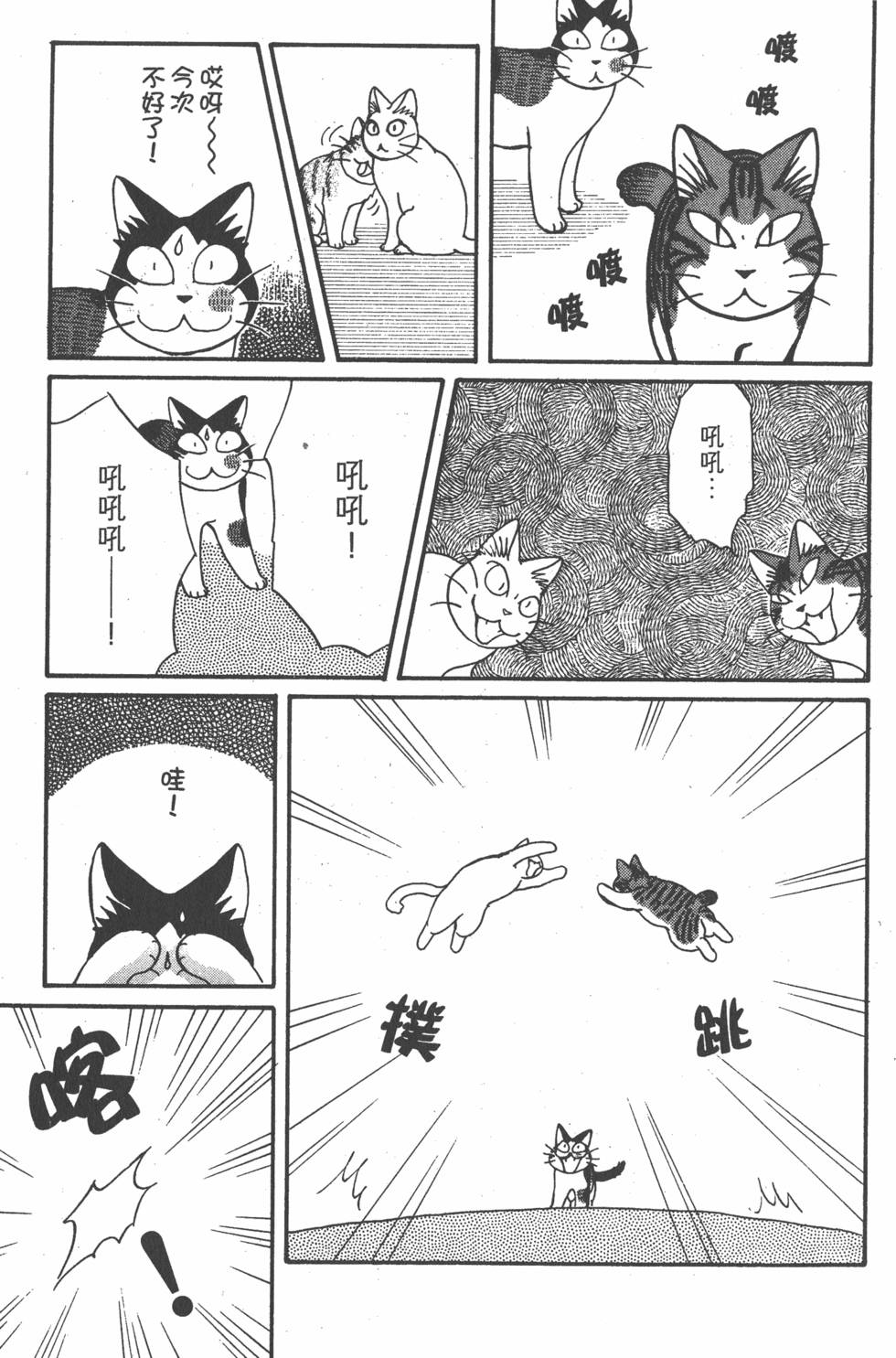 第223页