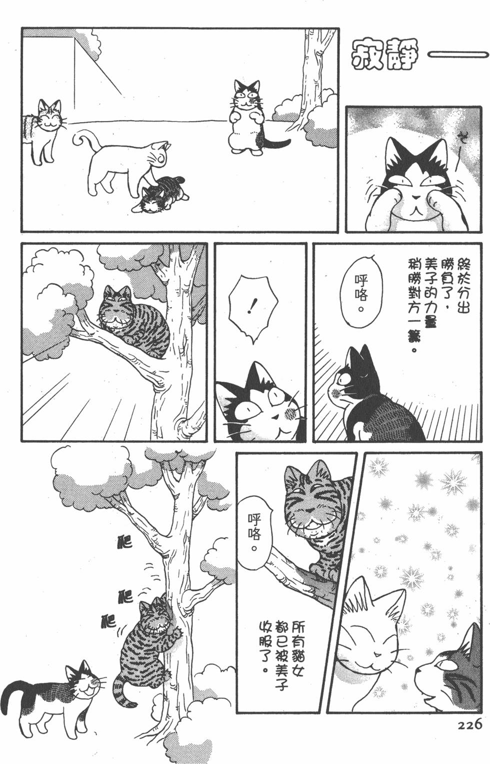 第224页