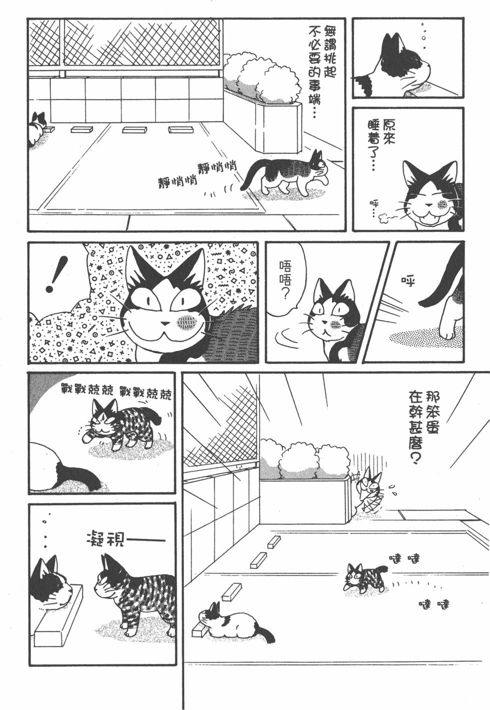 第228页