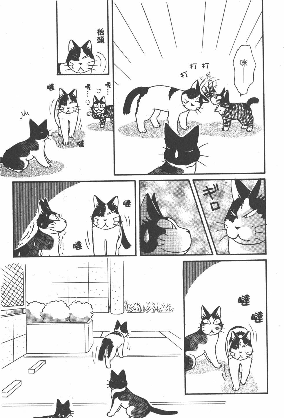 第233页