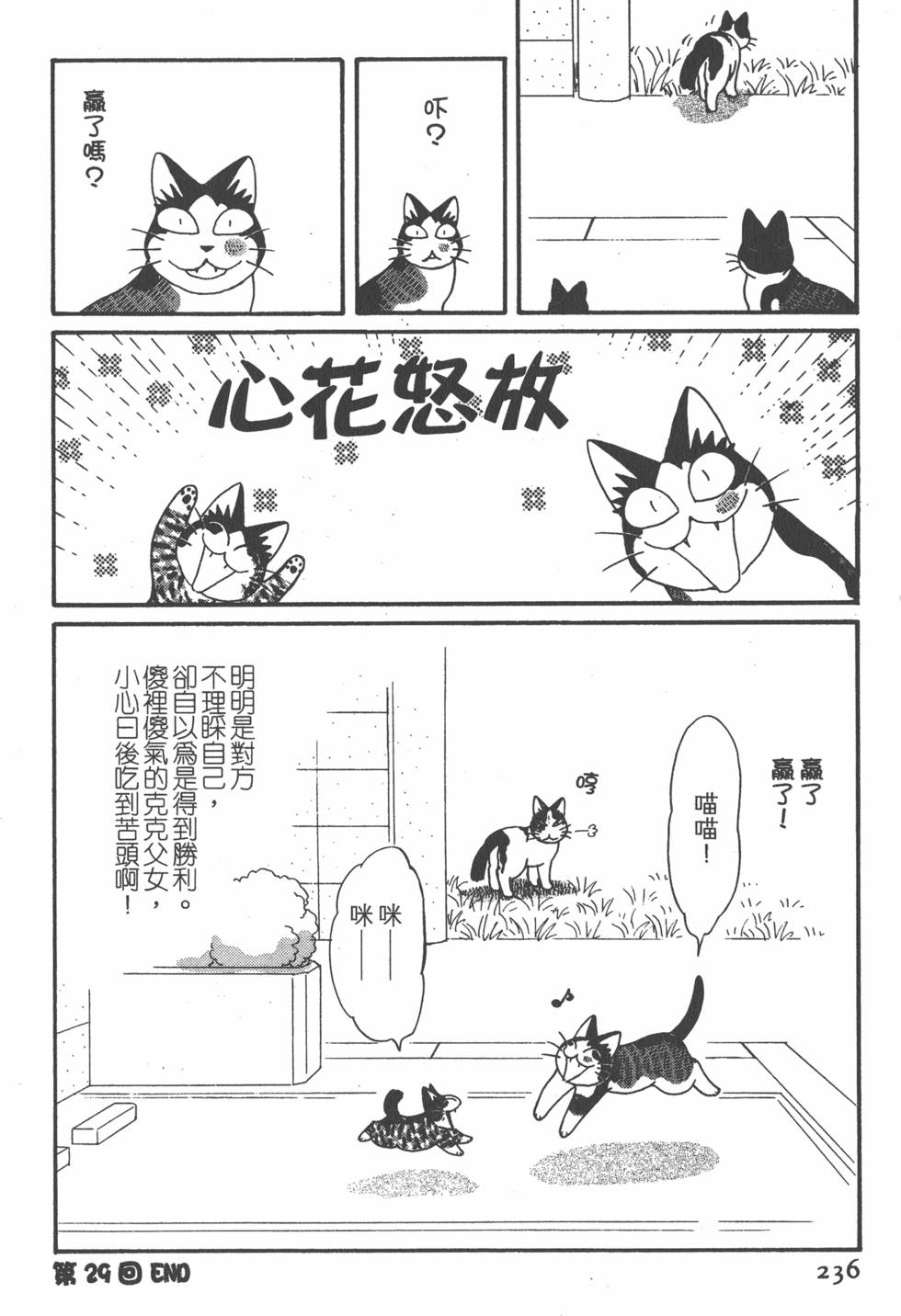 第234页