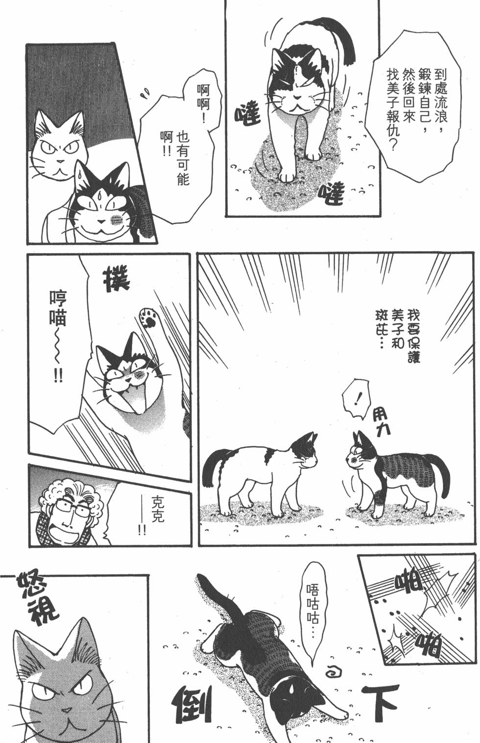 第239页