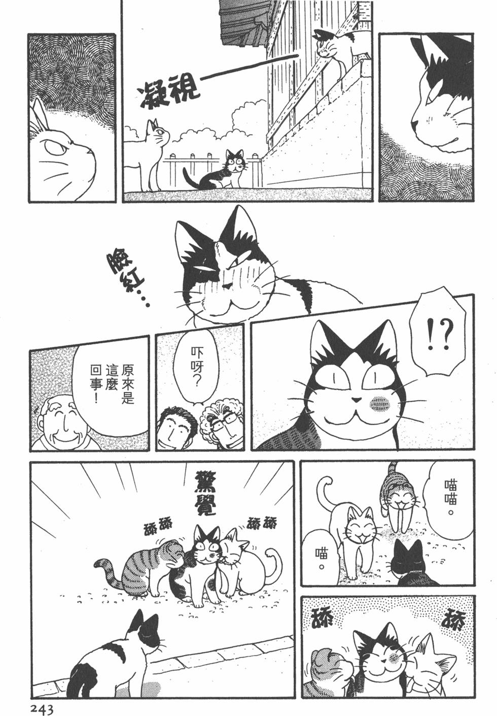 第241页