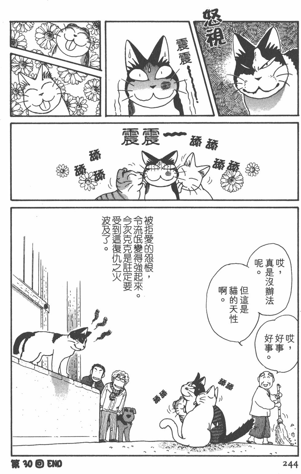 第242页