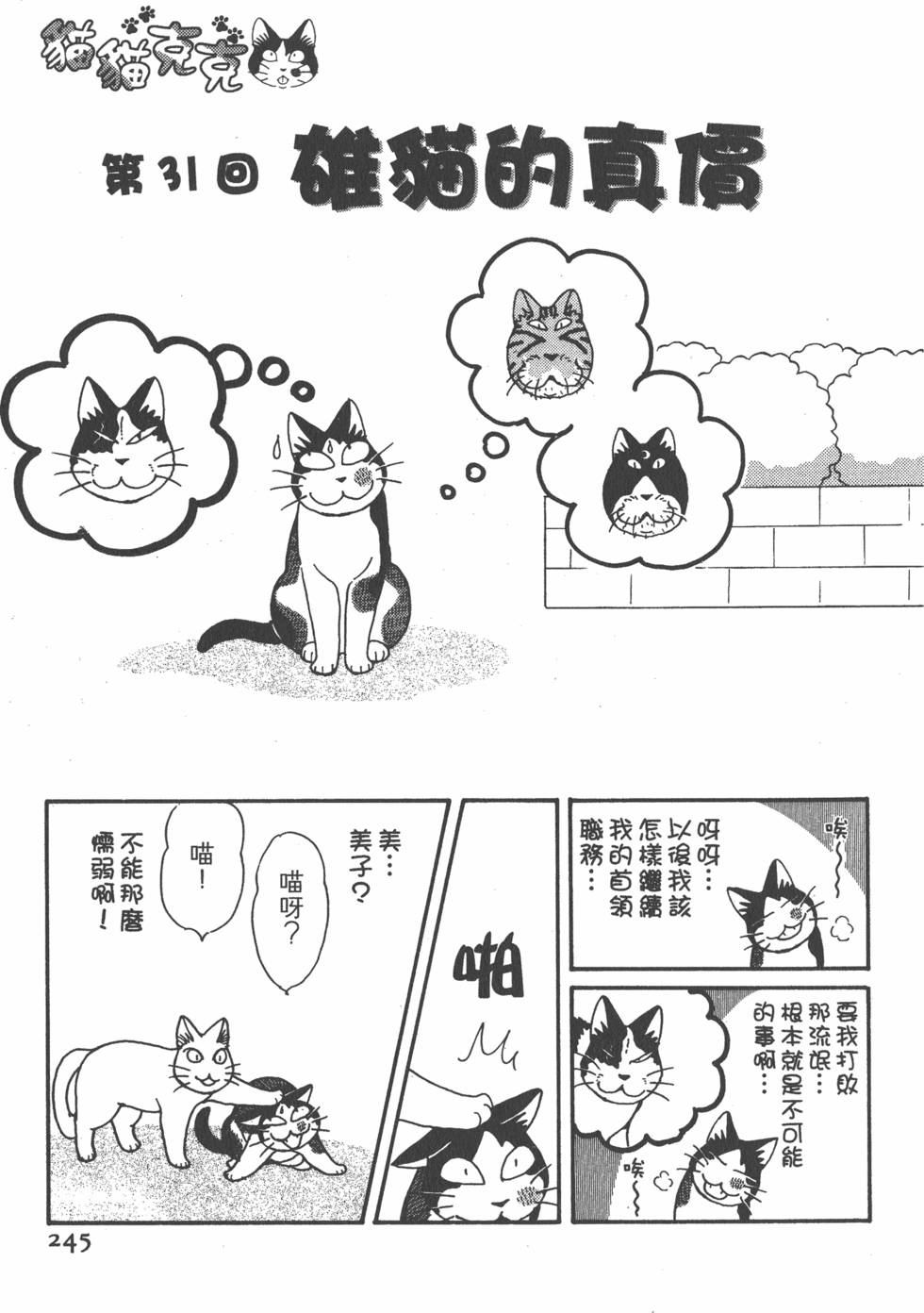 第243页