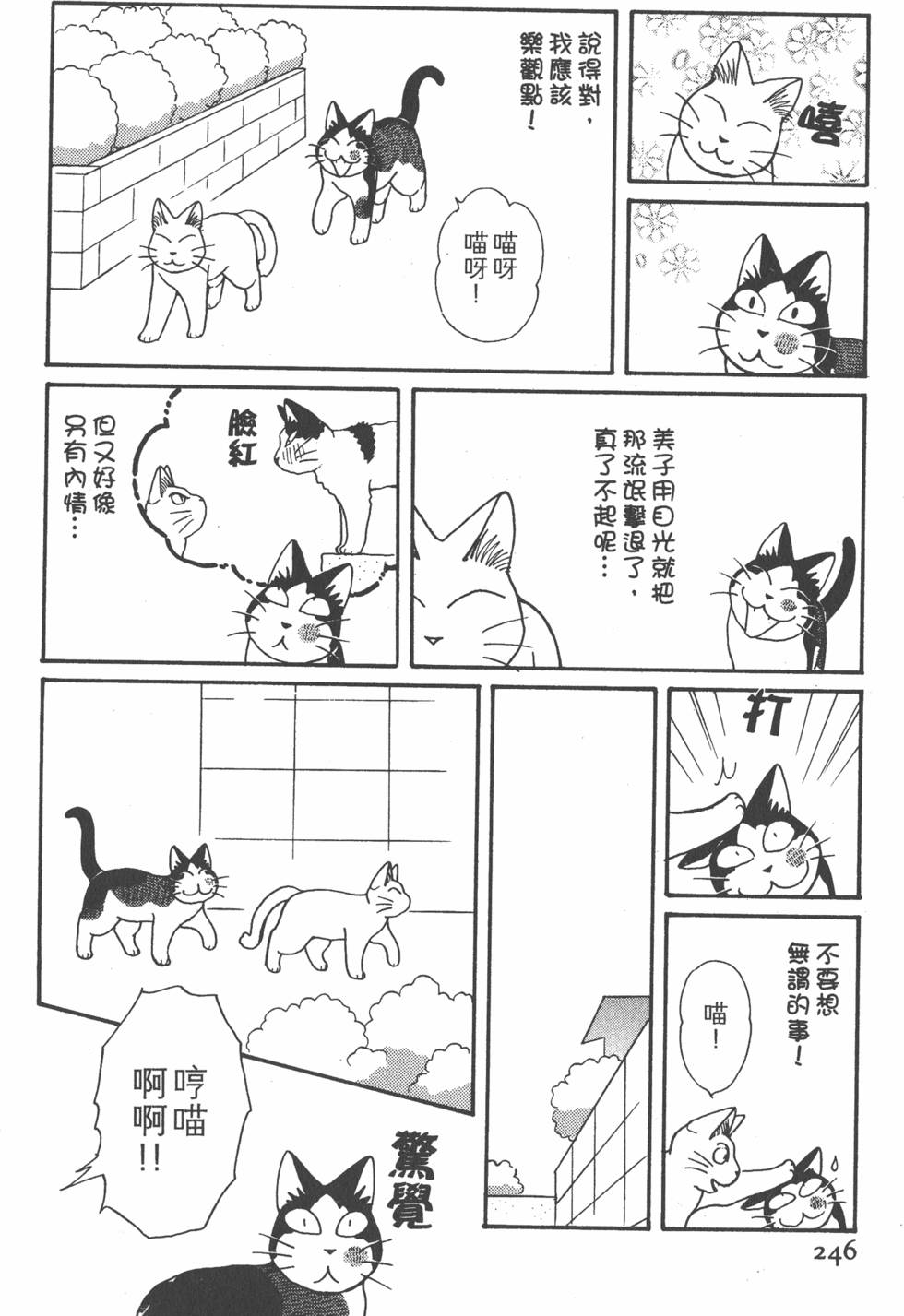 第244页