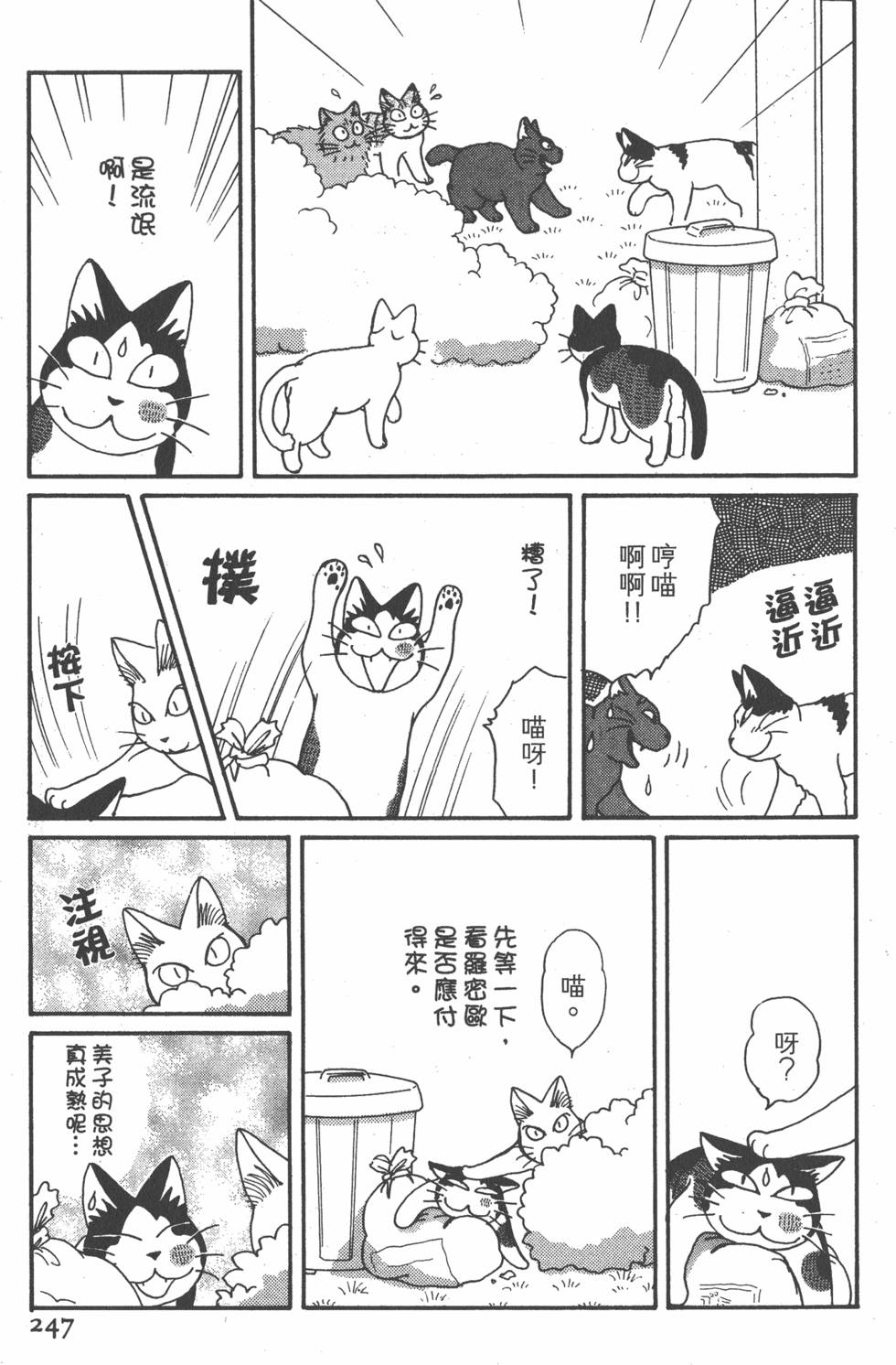第245页