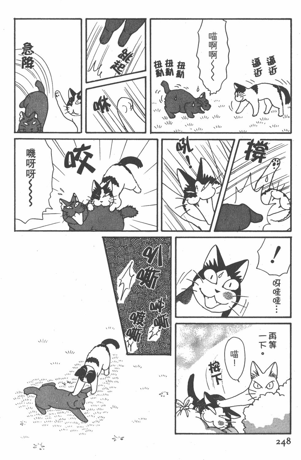 第246页