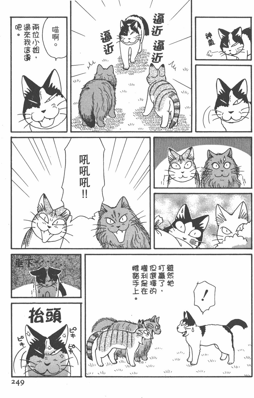 第247页