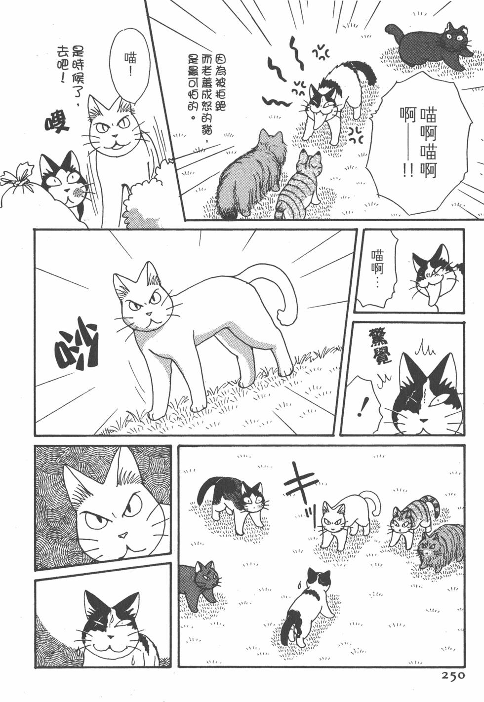 第248页