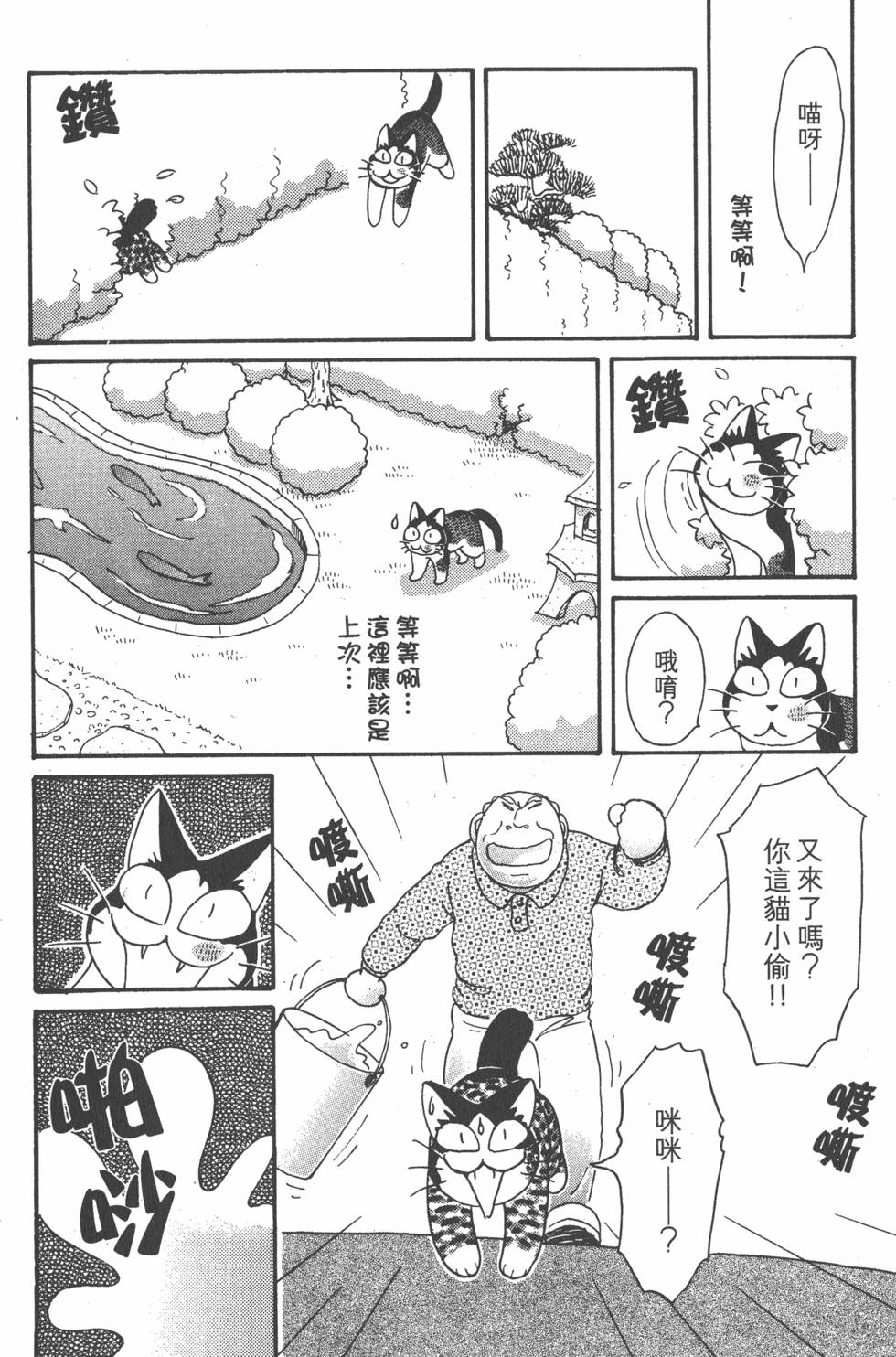 第254页