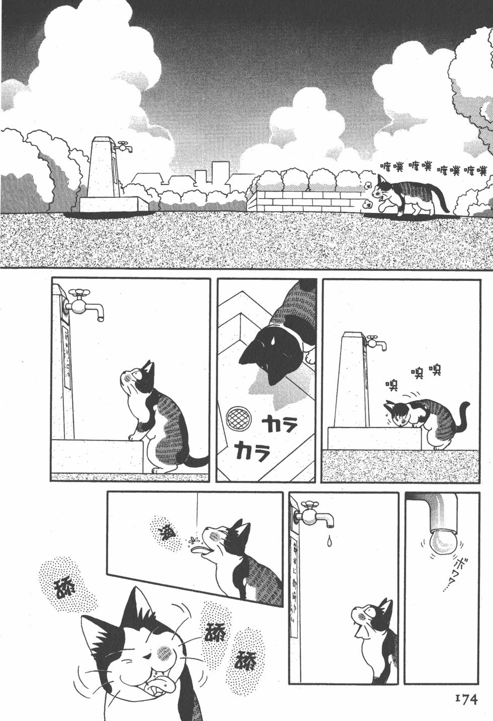 第172页