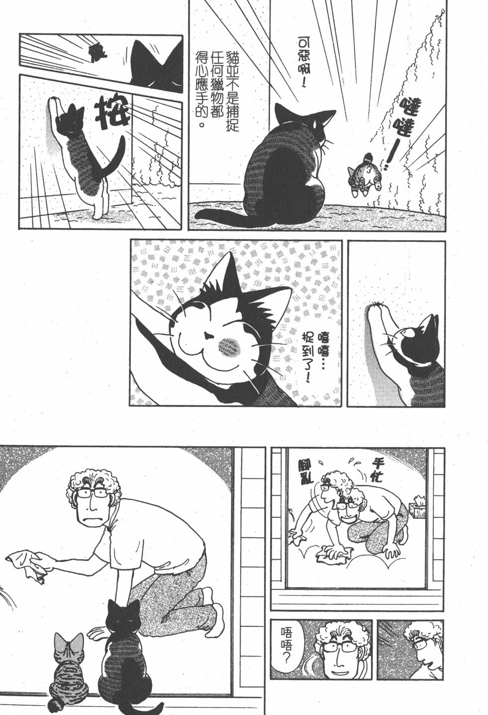 第185页
