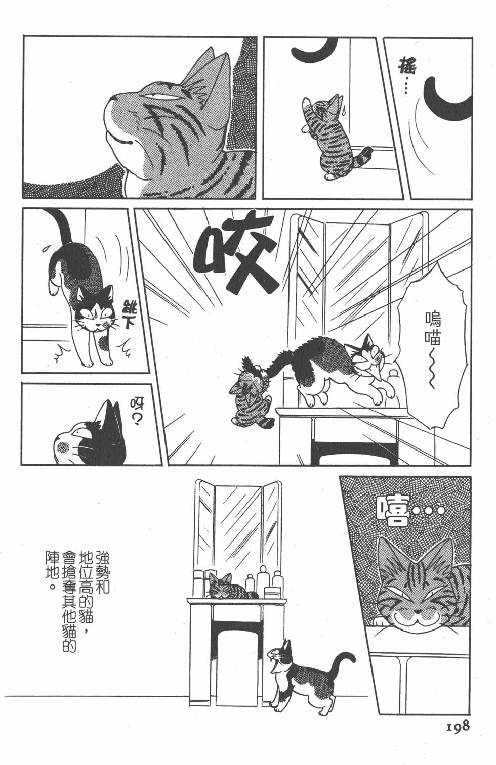 第196页