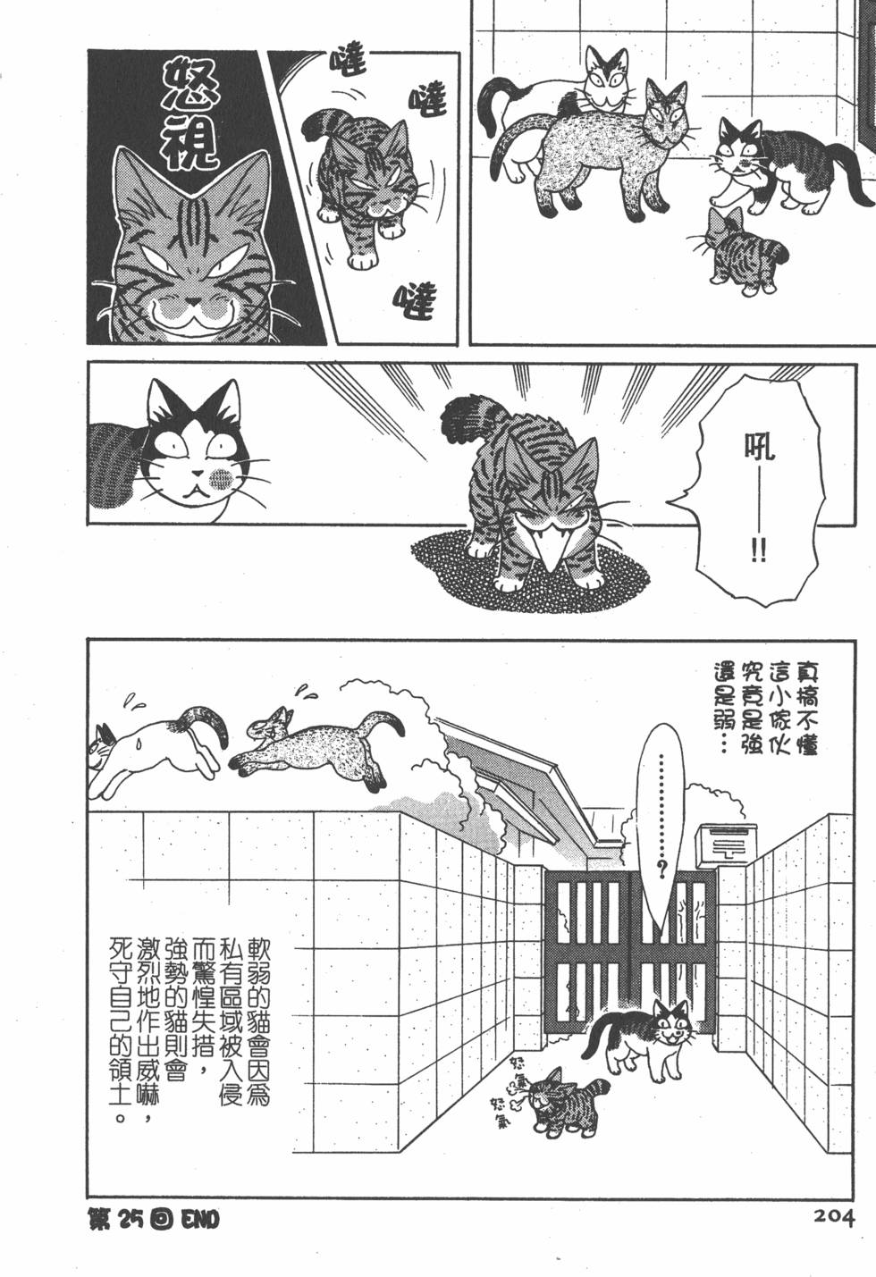 第202页
