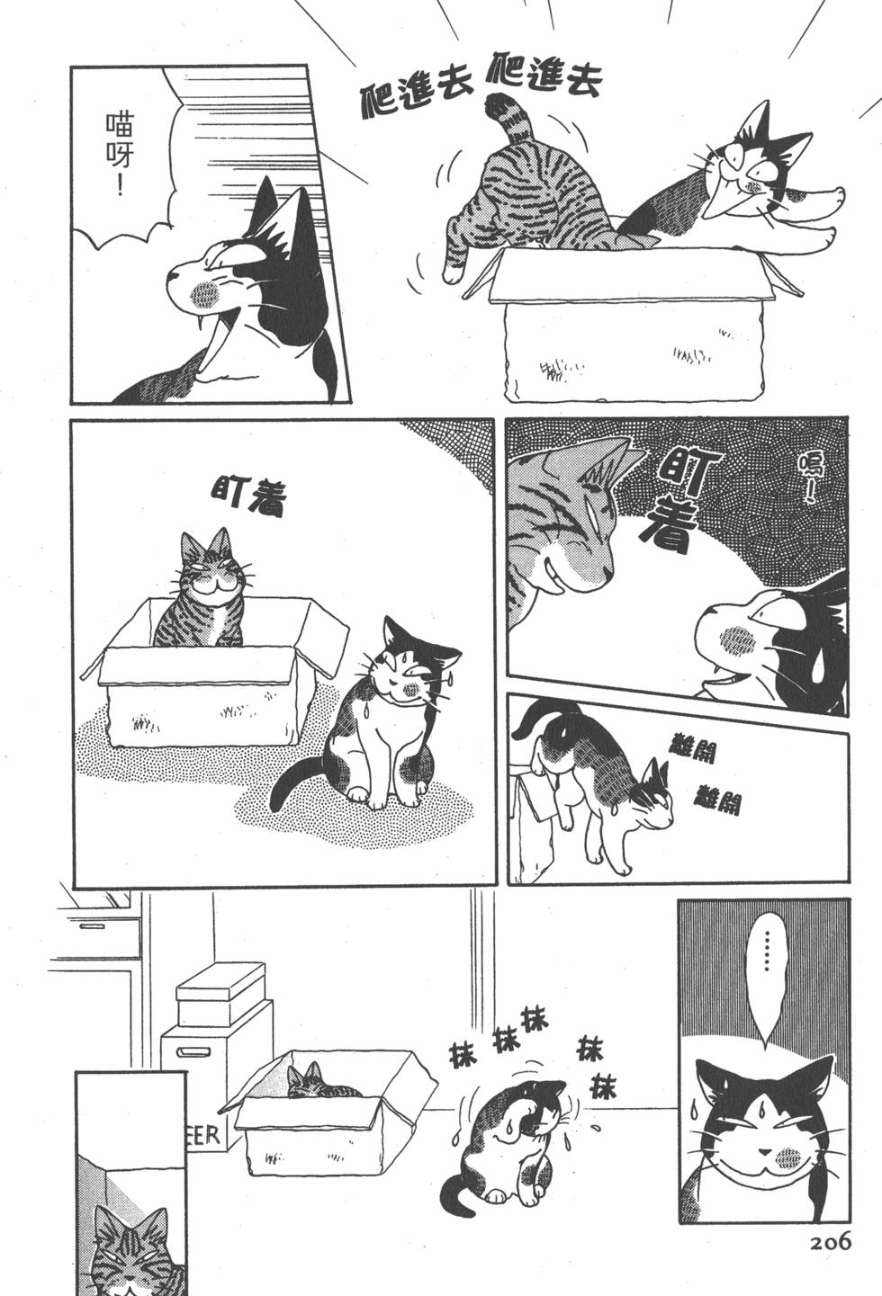 第204页
