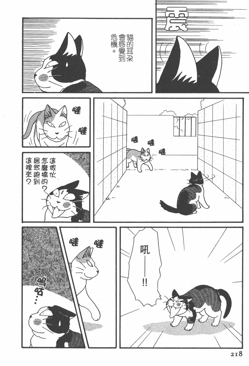 第216页