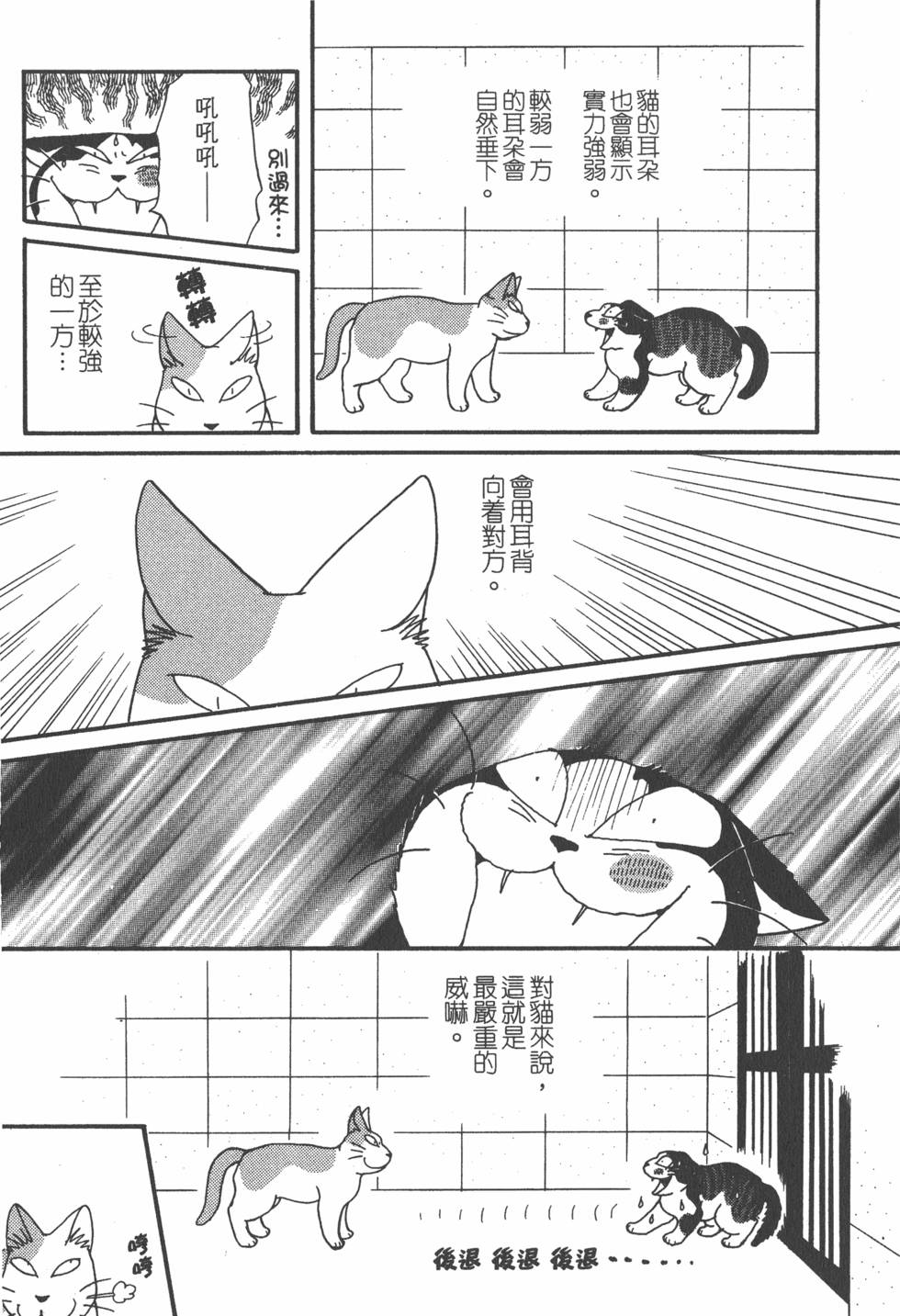 第217页