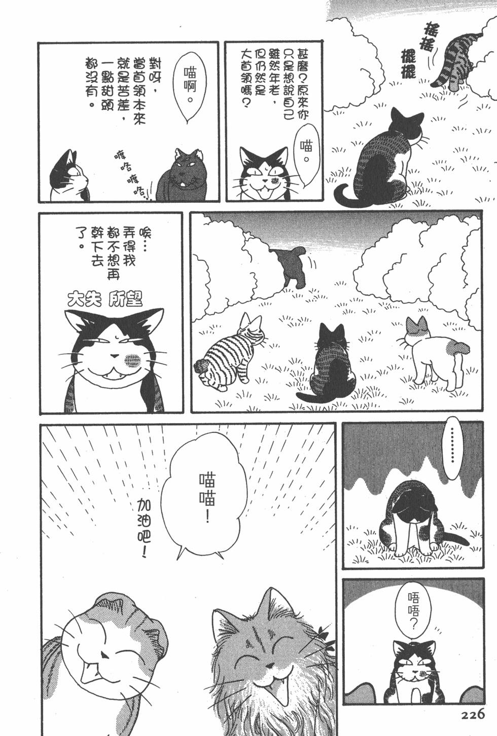第224页