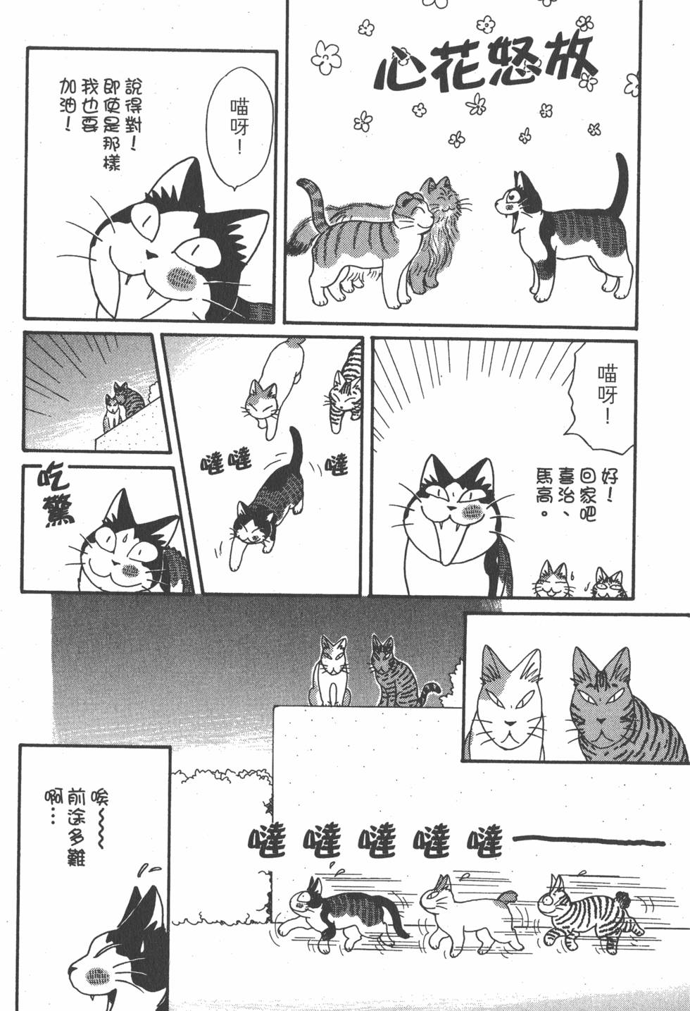 第225页