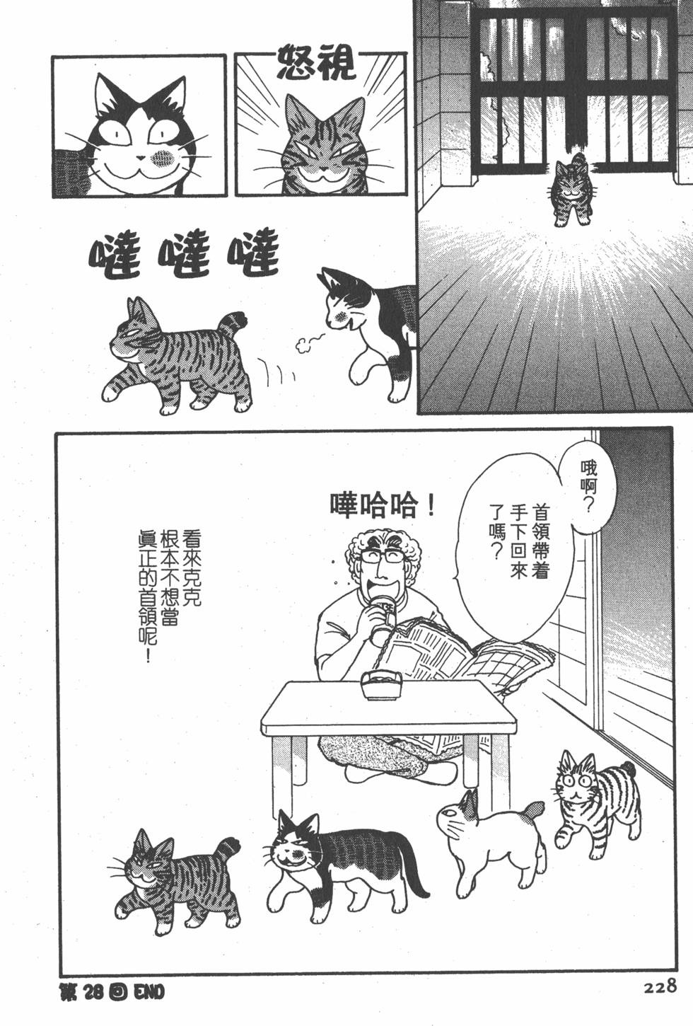 第226页