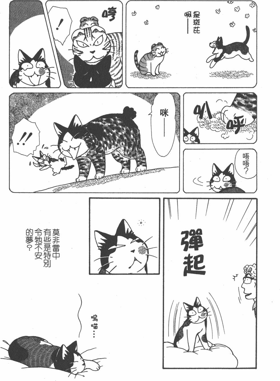 第231页