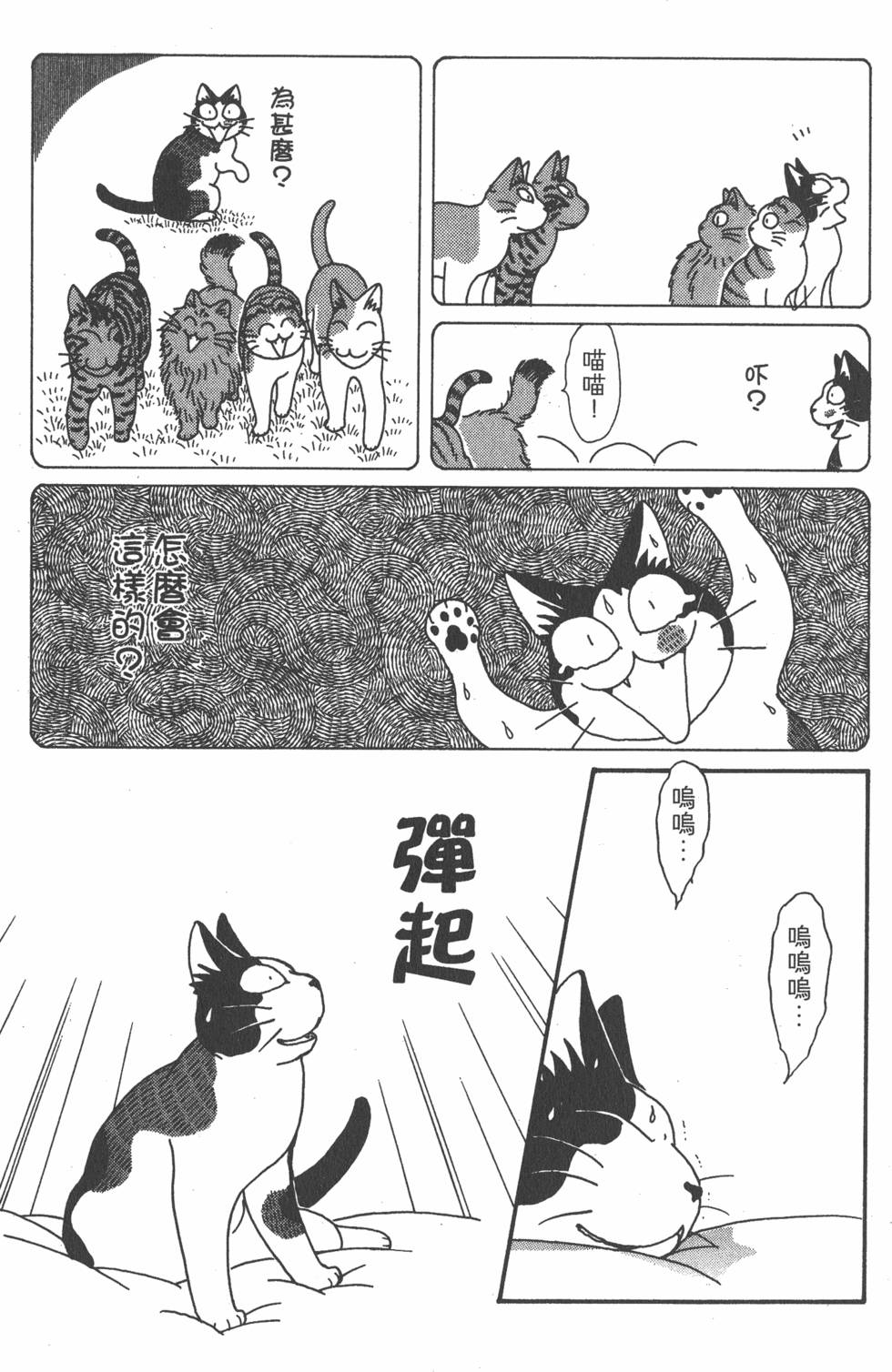 第233页