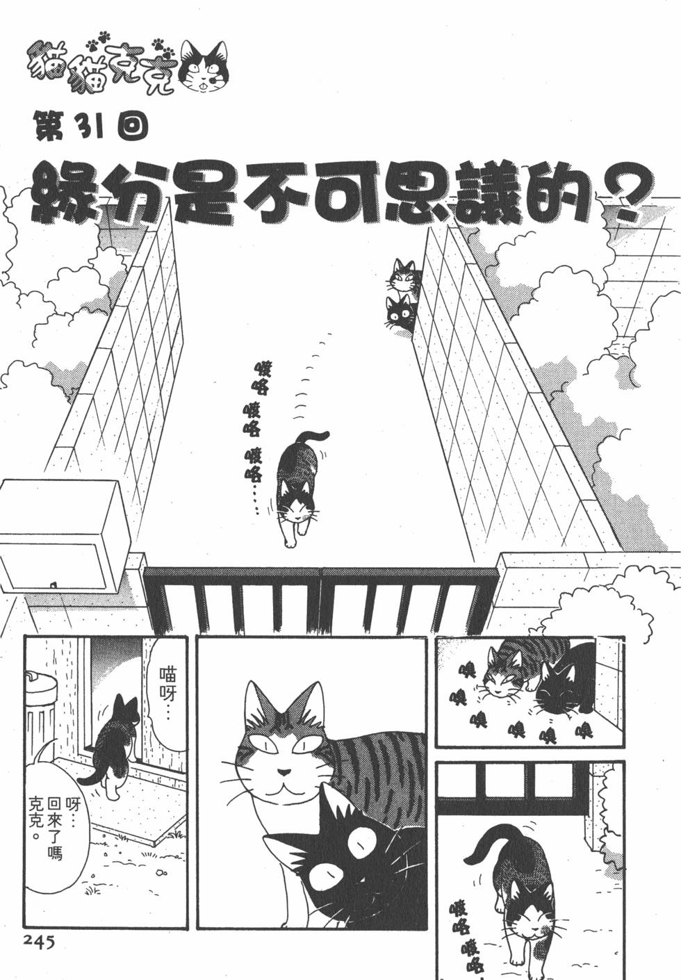 第243页