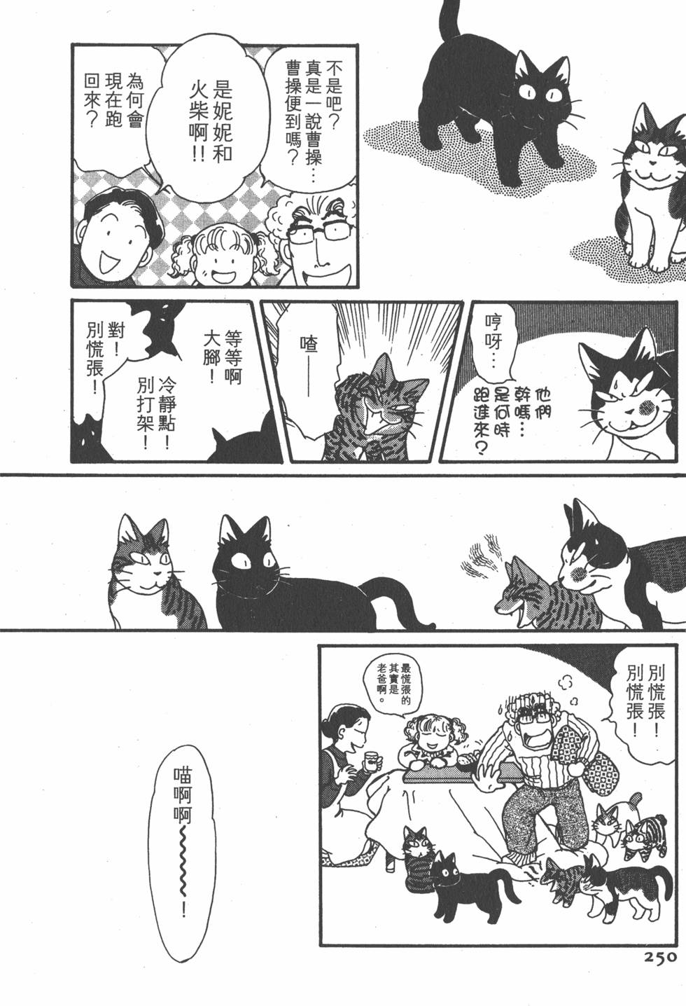 第248页