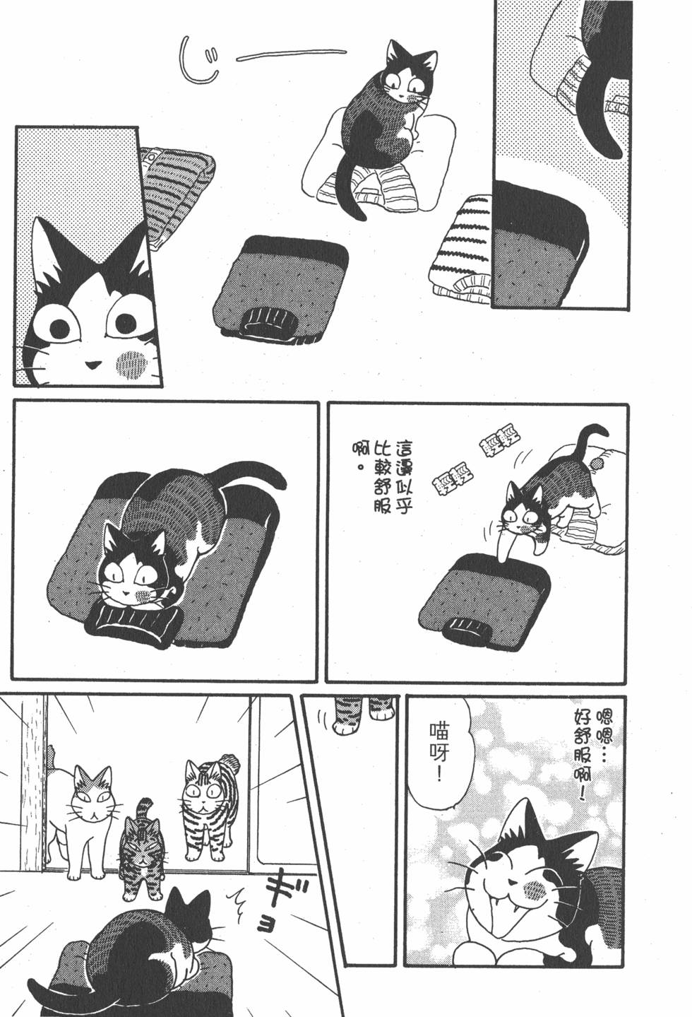 第255页