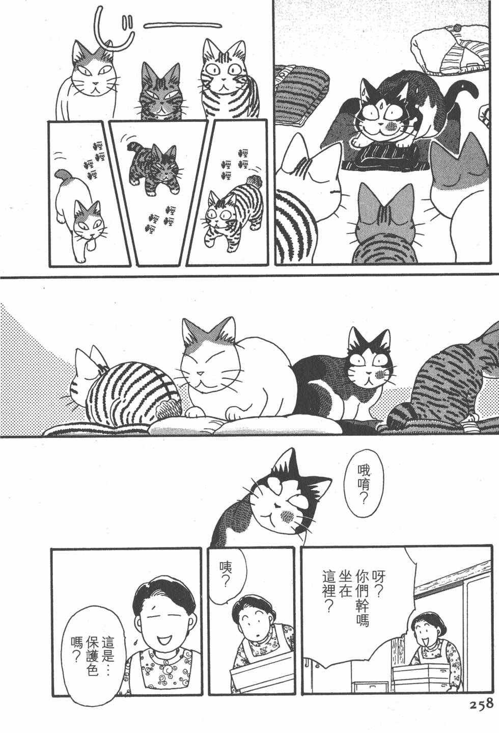 第256页