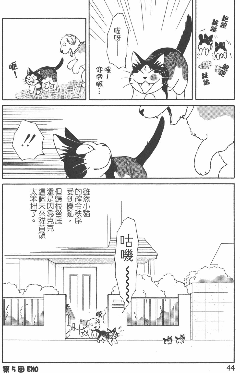 第42页