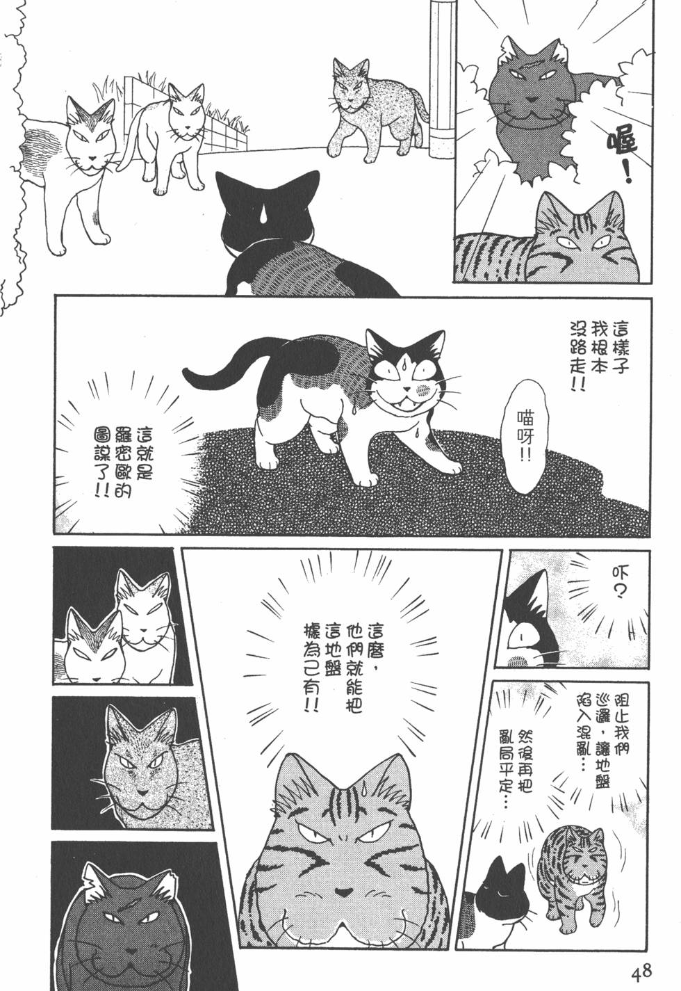 第46页