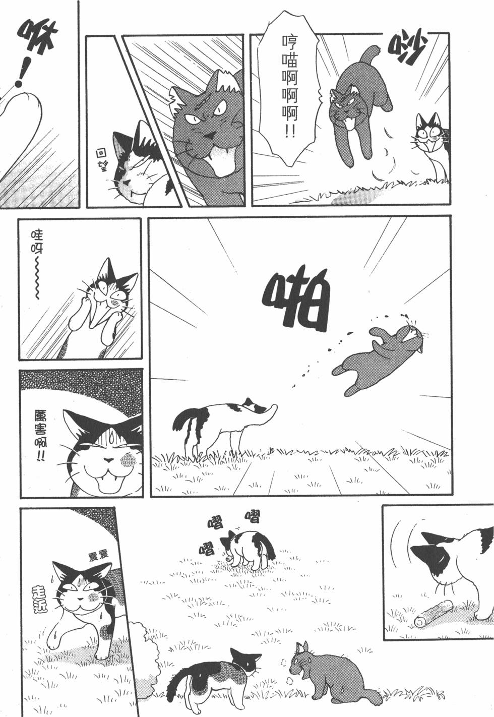 第137页