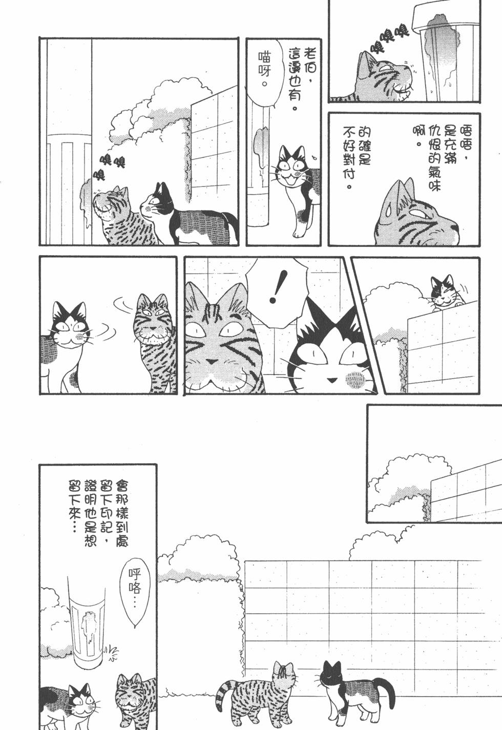 第142页