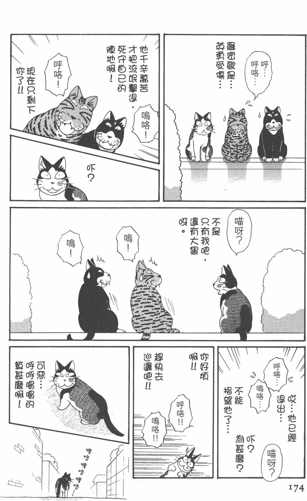 第172页