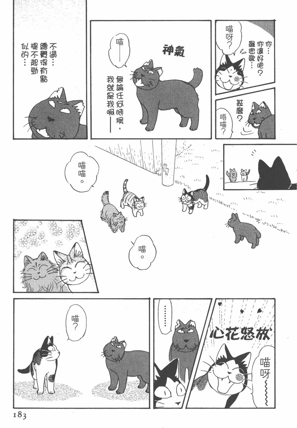 第181页