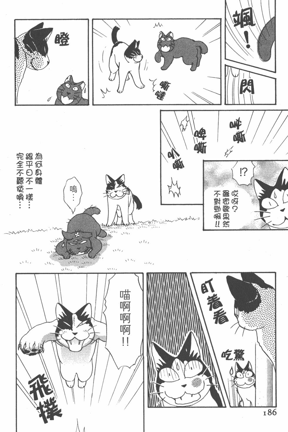 第184页