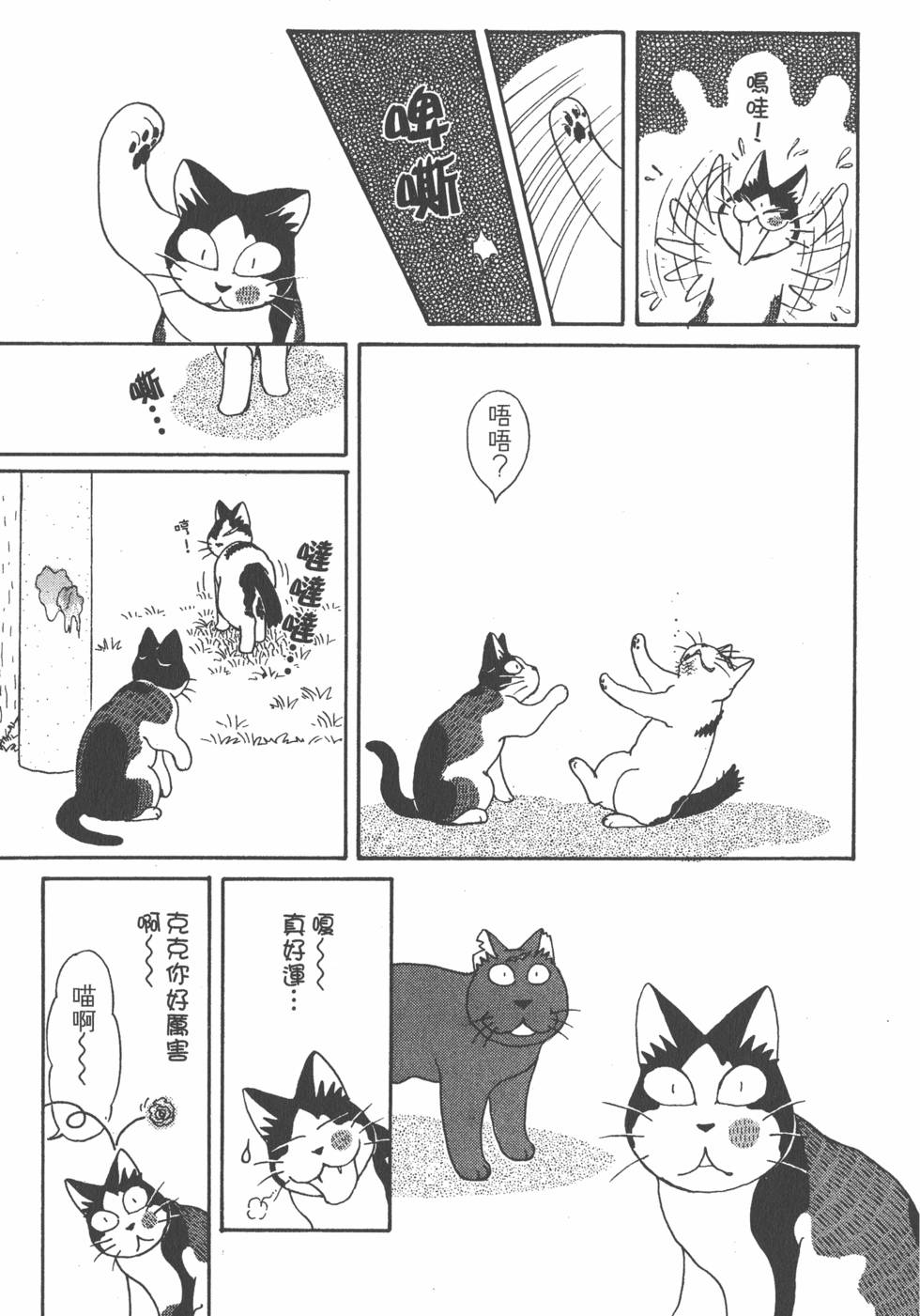 第185页