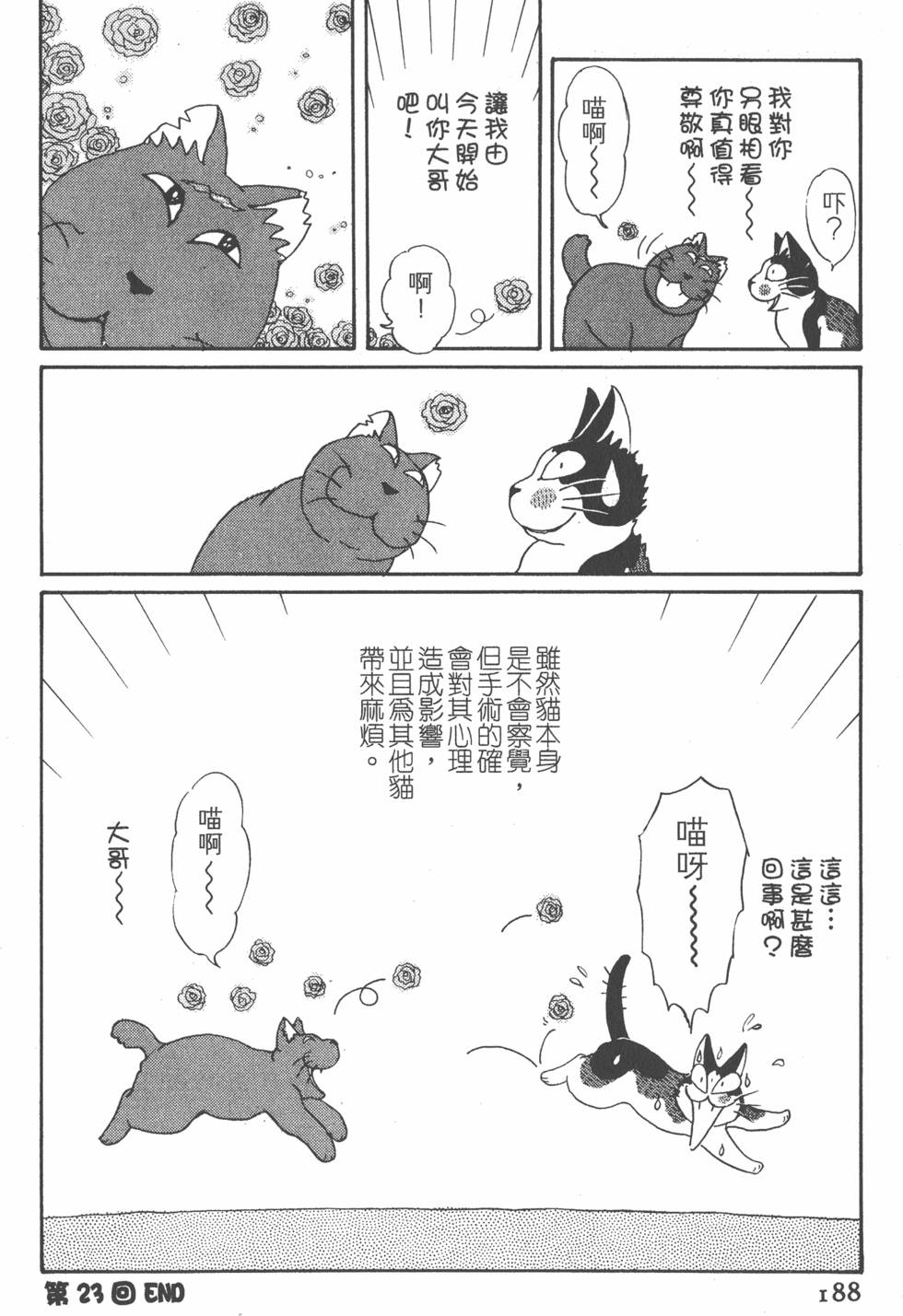 第186页