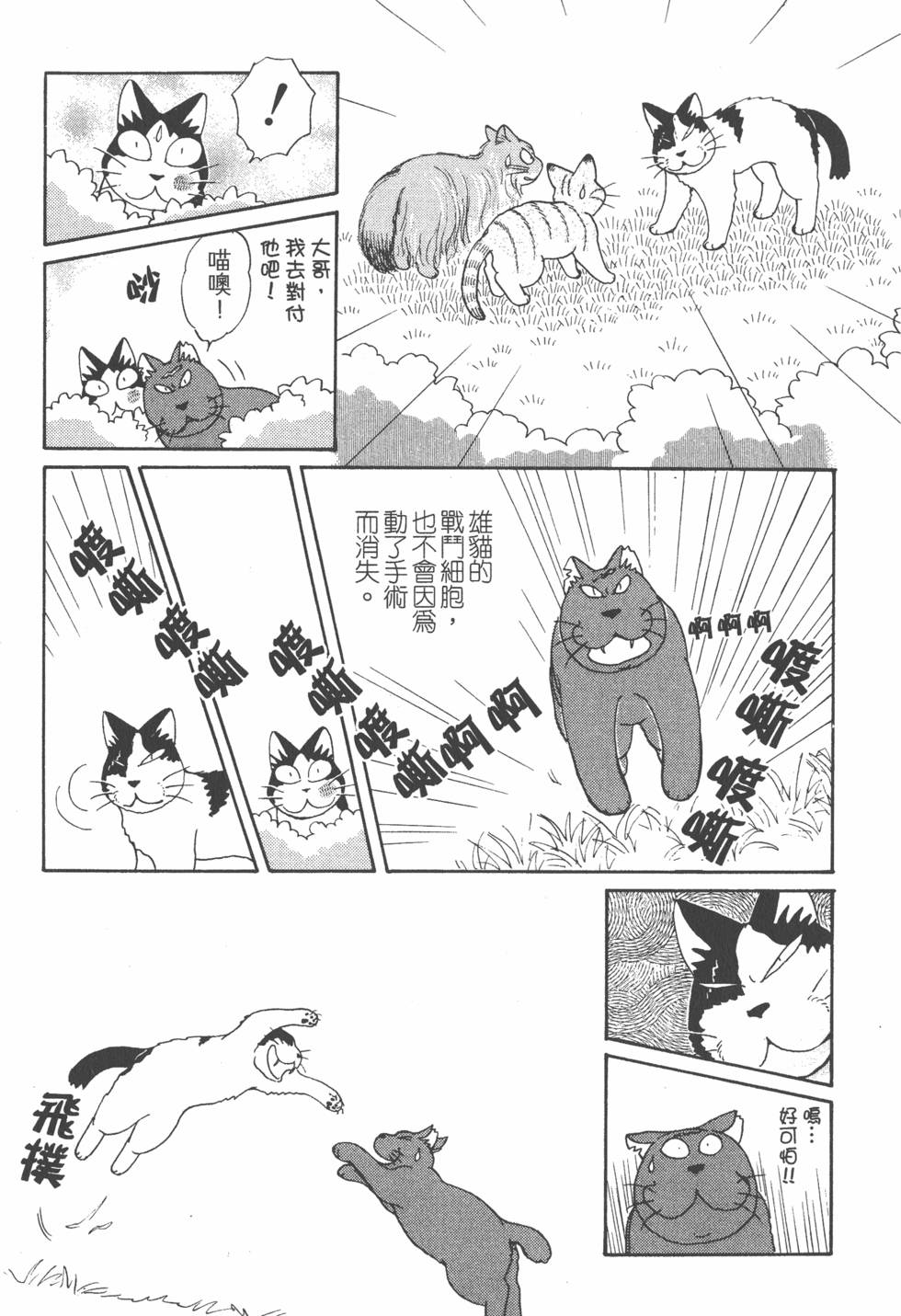 第191页