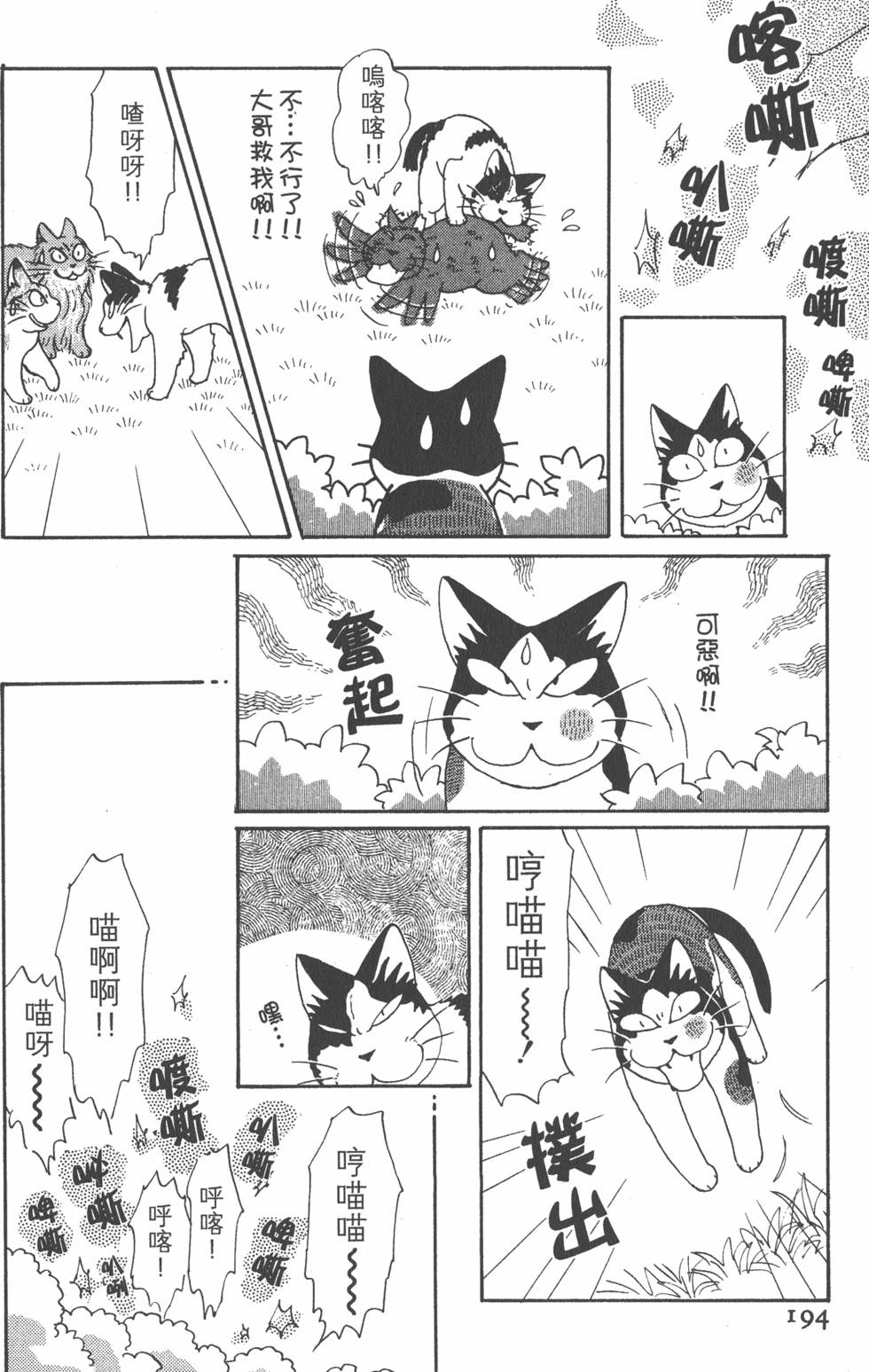 第192页