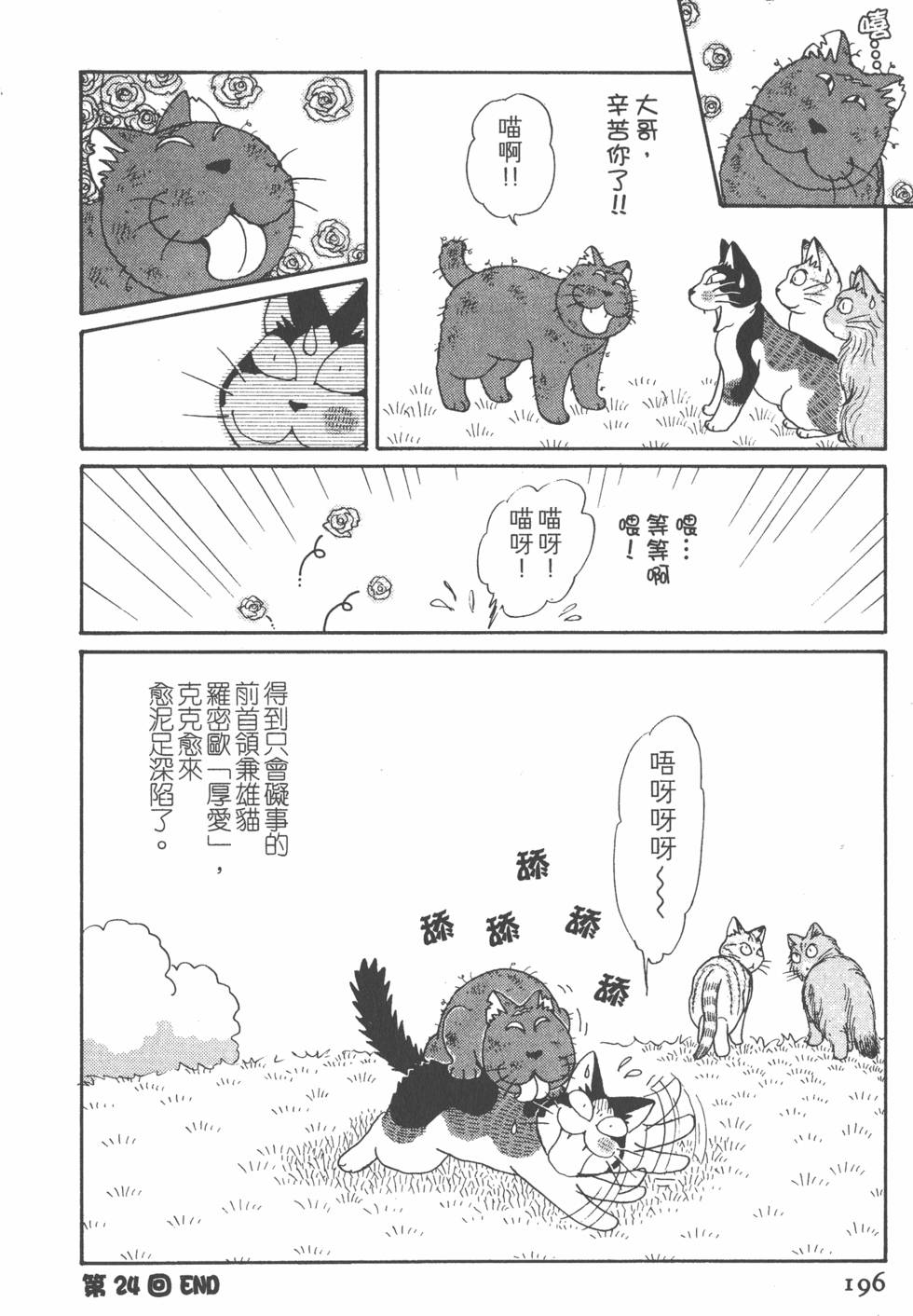 第194页