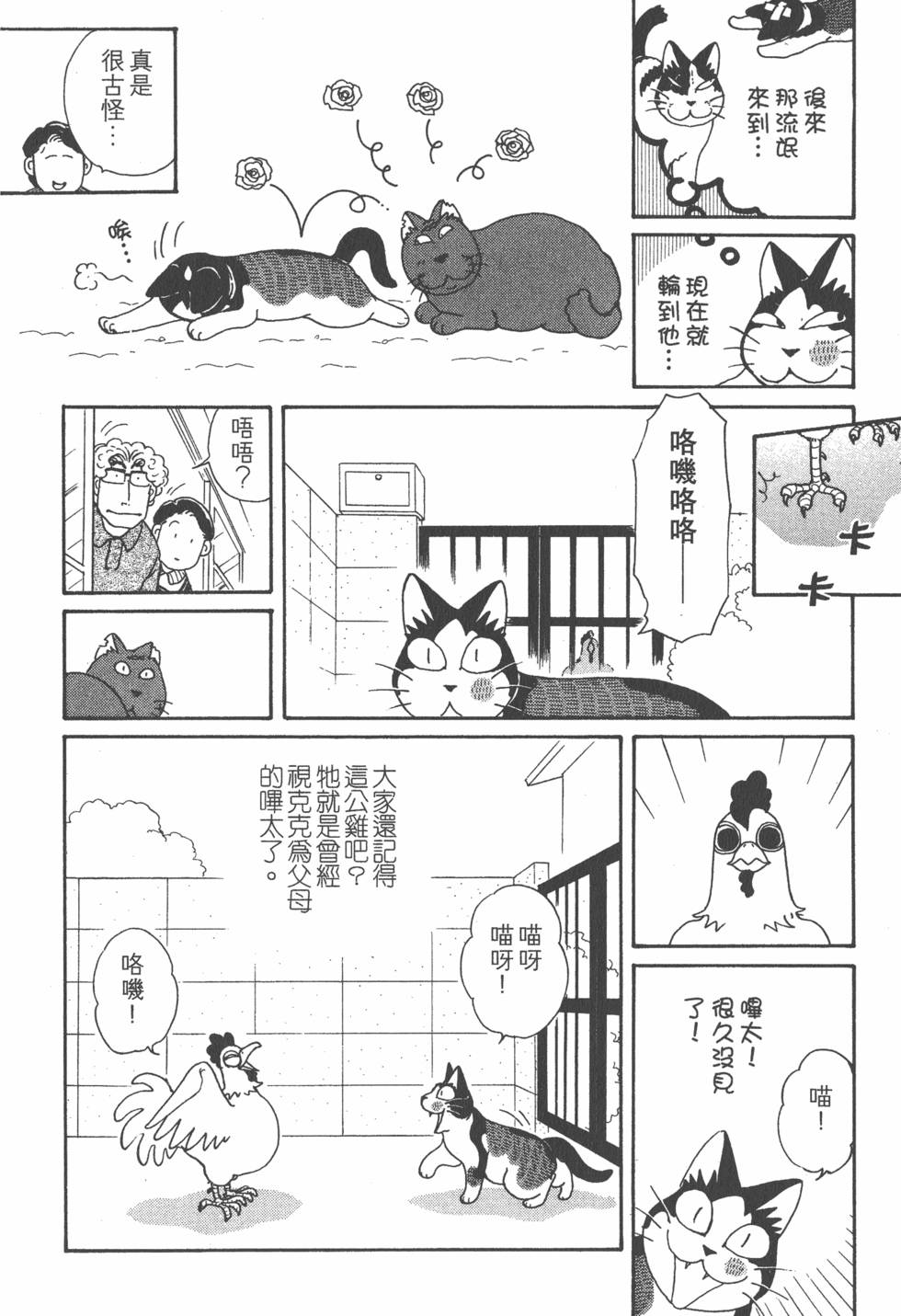 第196页