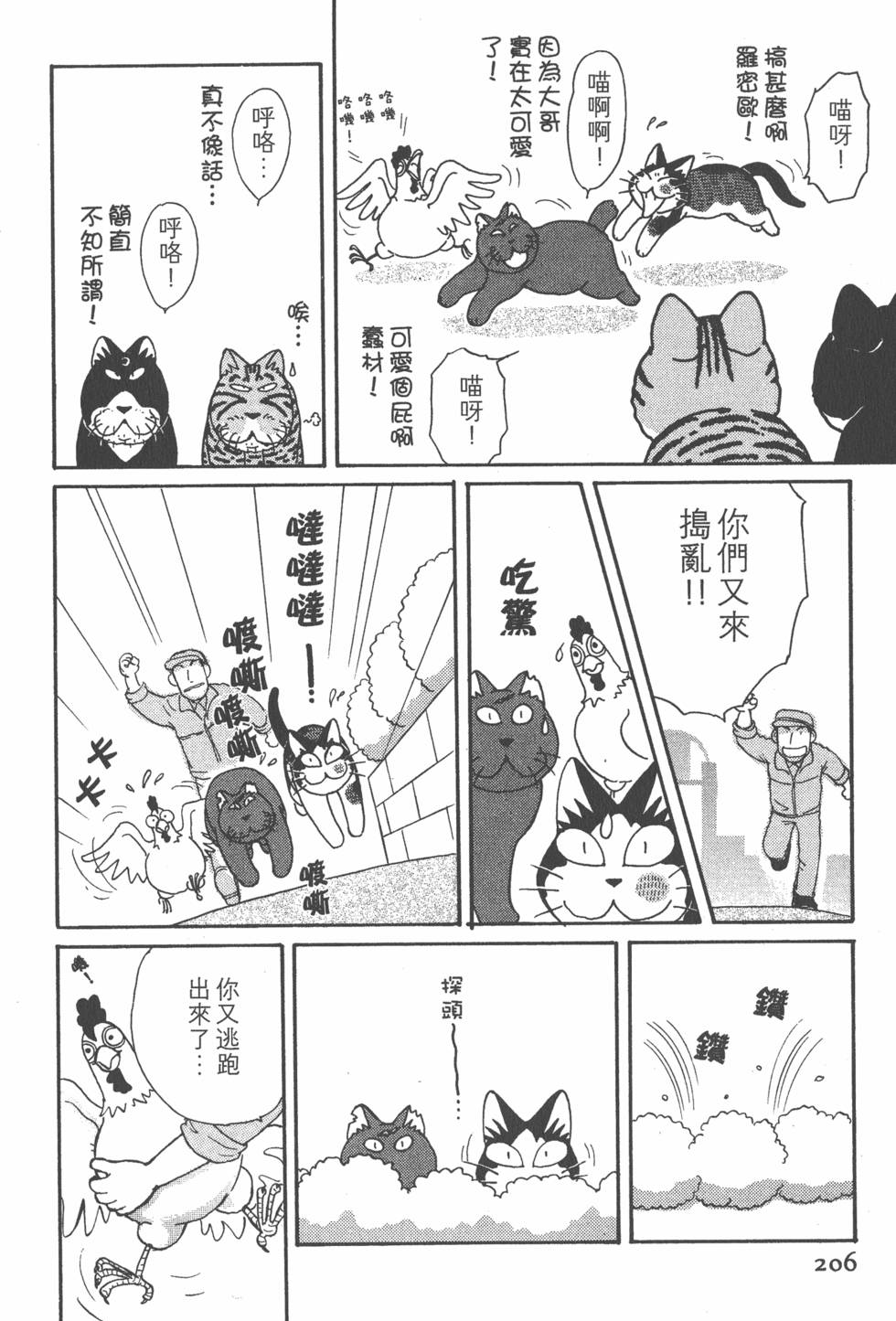 第204页