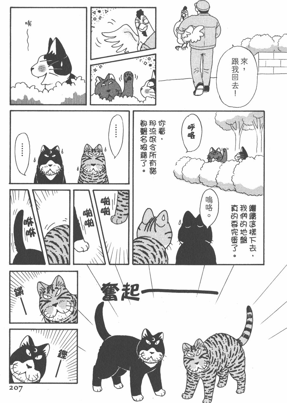 第205页